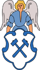 Wappen Stadt Falkenstein